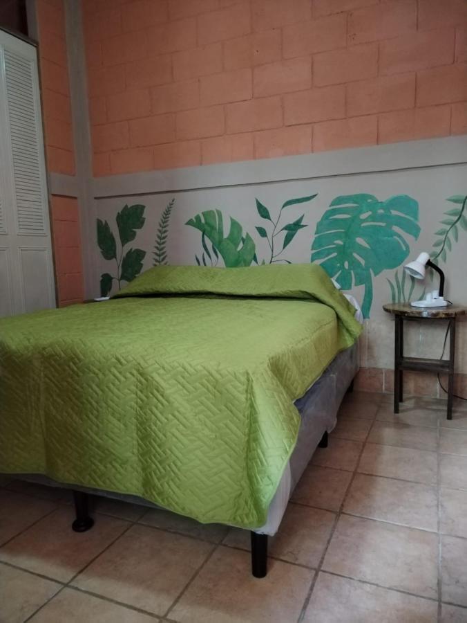 Chilamar Surf Lodge 拉利伯塔德 外观 照片